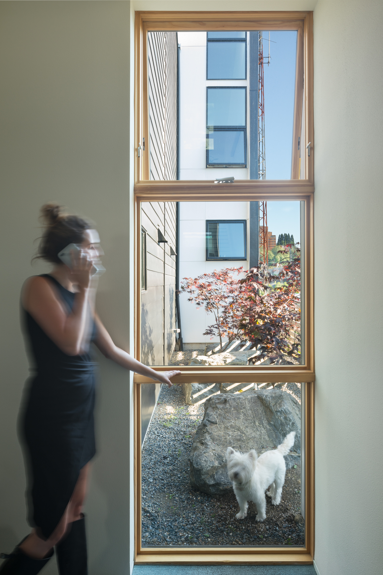 A person is standing by 3 vertically stacked windows. A westie terrier is outside looking in.