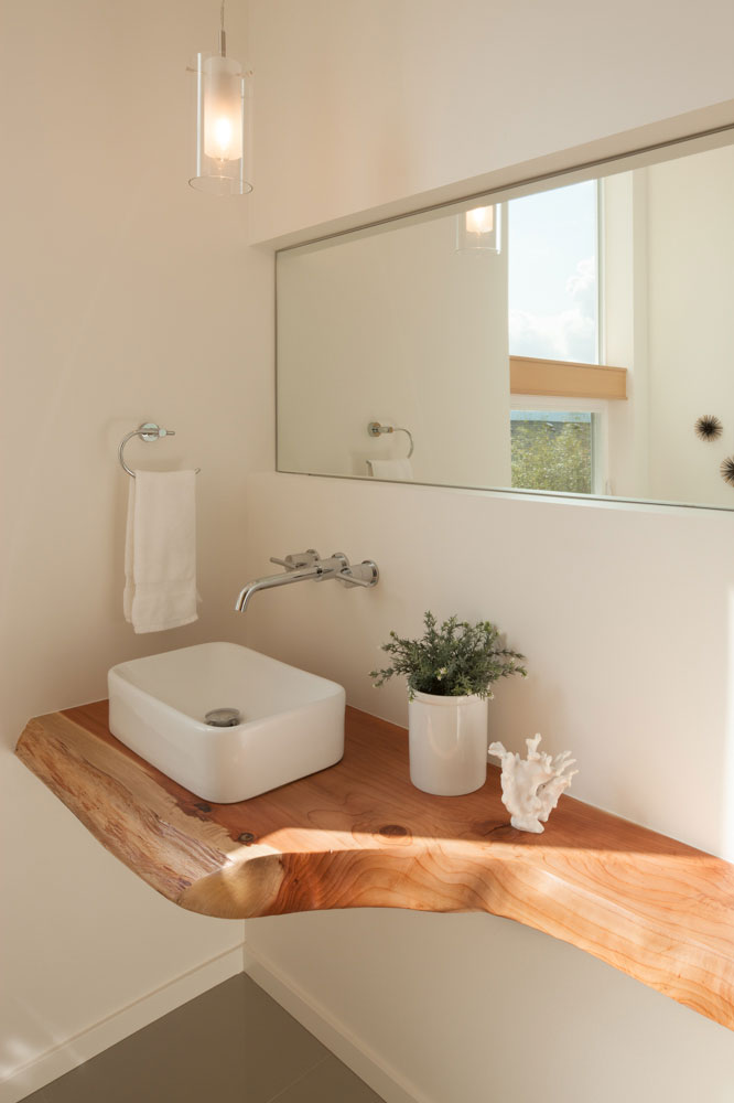 Bathroom with natural wood counter top, white sink and silver faucet. Plant next to sink.